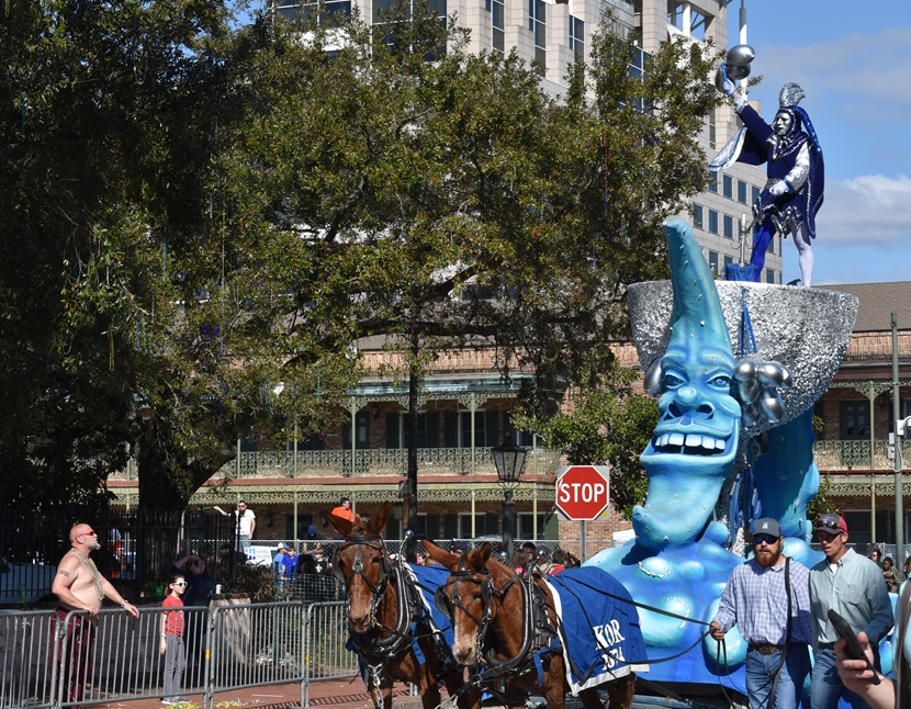 New Orleans Mardi Gras Tree, Mrs Watson and recipes 02 www.diningwithmimi.com