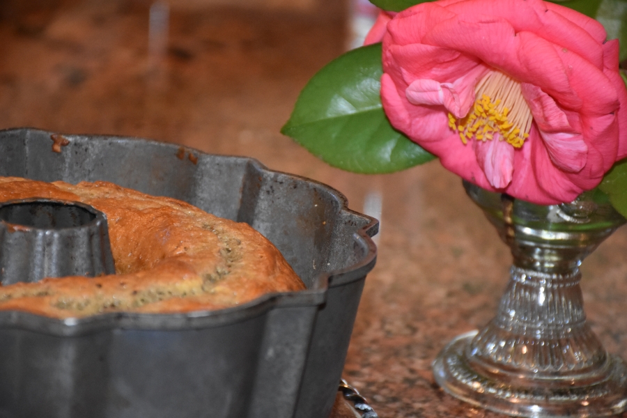 Large Pink camellias and Baked Never Fail Spirited Italian Rossa Bundt Cake www.diningwithmimi.com